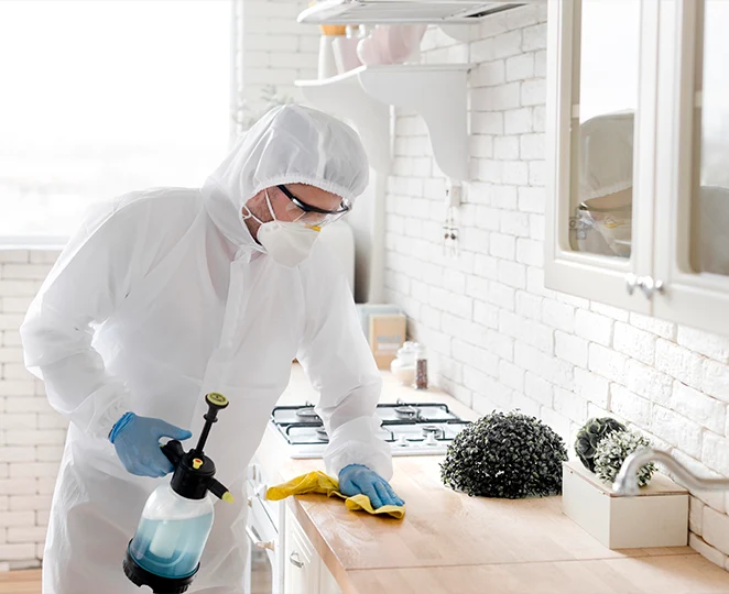 disinfeketion